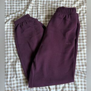 Aritzia Cardamon Mega Joggers